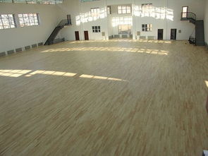 甲级运动木地板 畅森