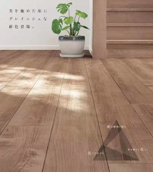 进口木地板给您一个舒适健康的家