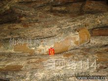 泉州大叶黄杨木地板批发与供应指南