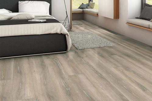 德国Haro品牌木地板 品质与设计的完美融合，畅销全国